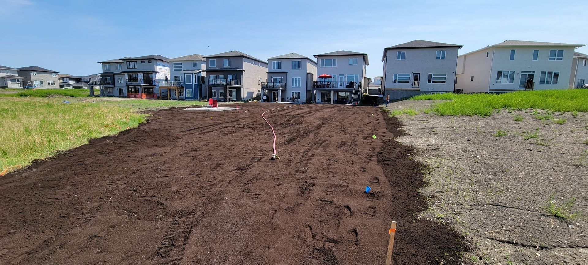 A newly tilled garden plot in front of several houses on a sunny day.