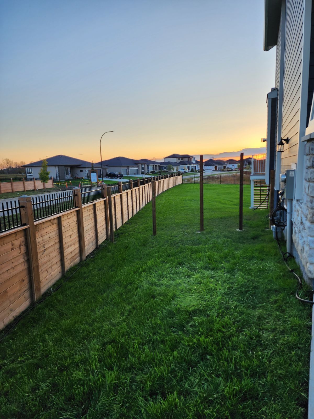 Backyard with green grass, wood fence, and sunset in the distance.