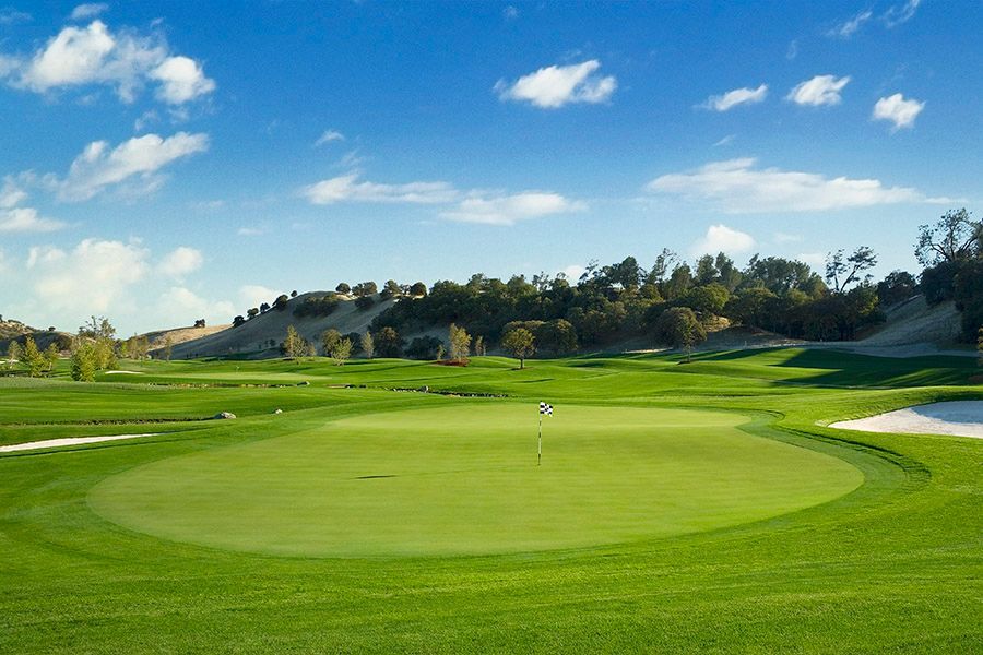 a golf course with a green and a blue sky in the background