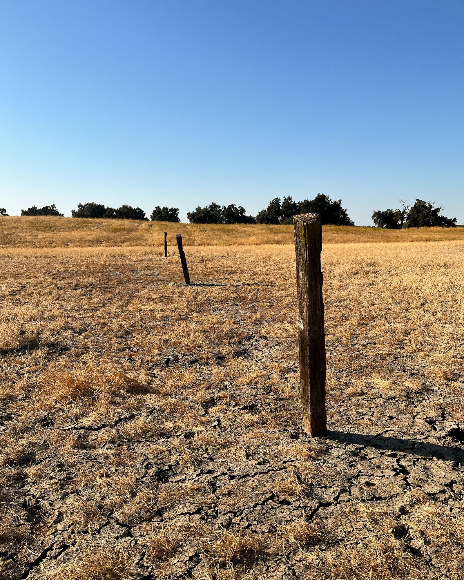 Property lines and corners shown for reference so the topographic information ties directly to the legal limits of the site.