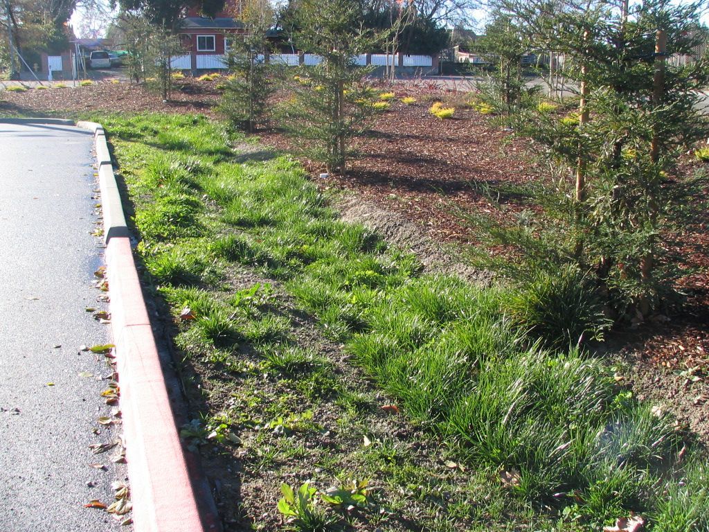 a grassy area next to a road with a red curb