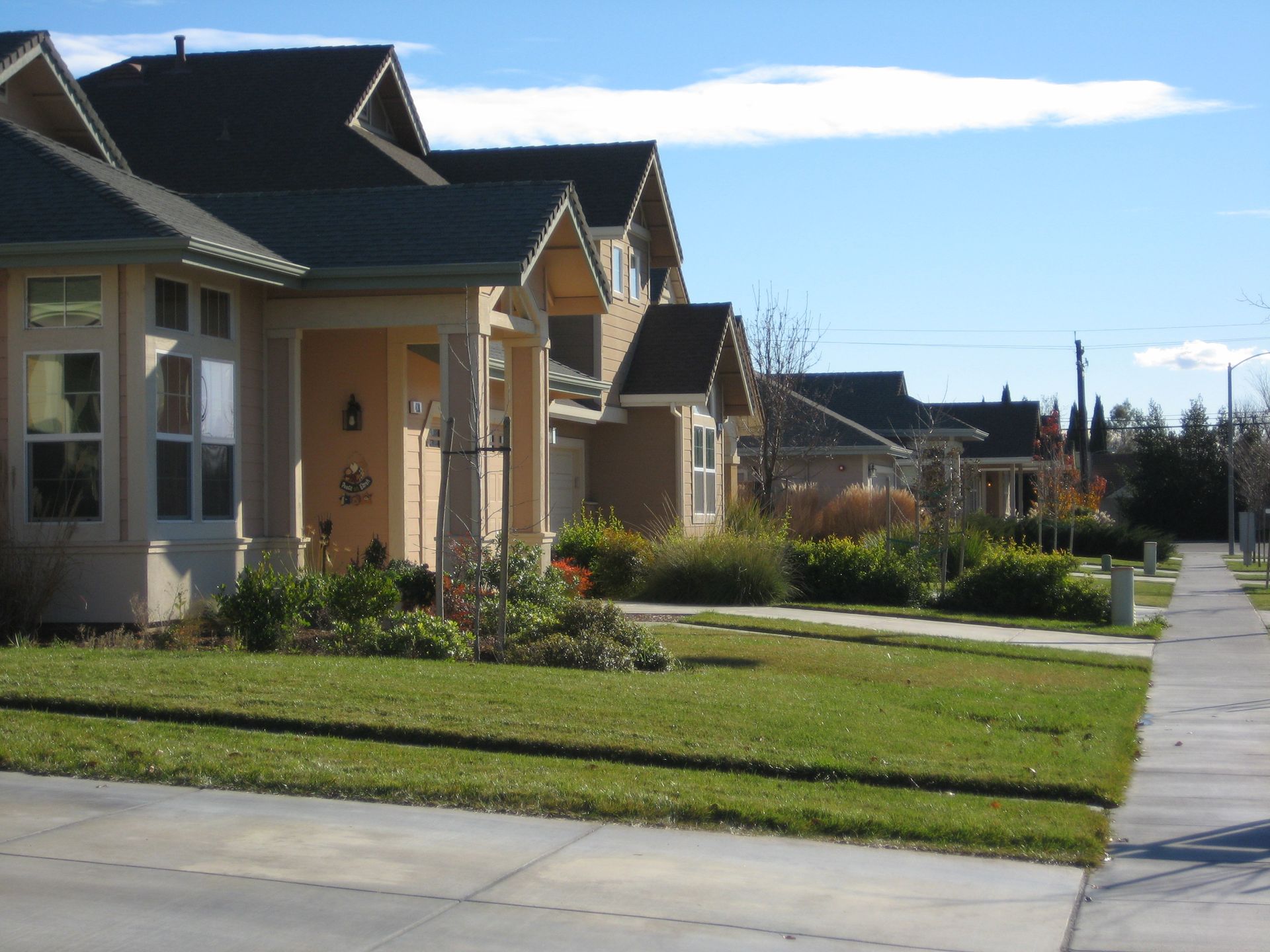 a row of houses are lined up on a sunny day