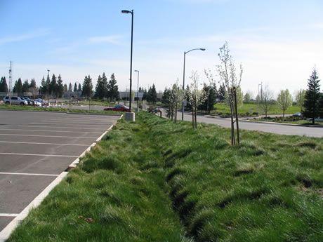 Creeks, ditches, swales, ponds, and other drainage features located to support stormwater and grading design.