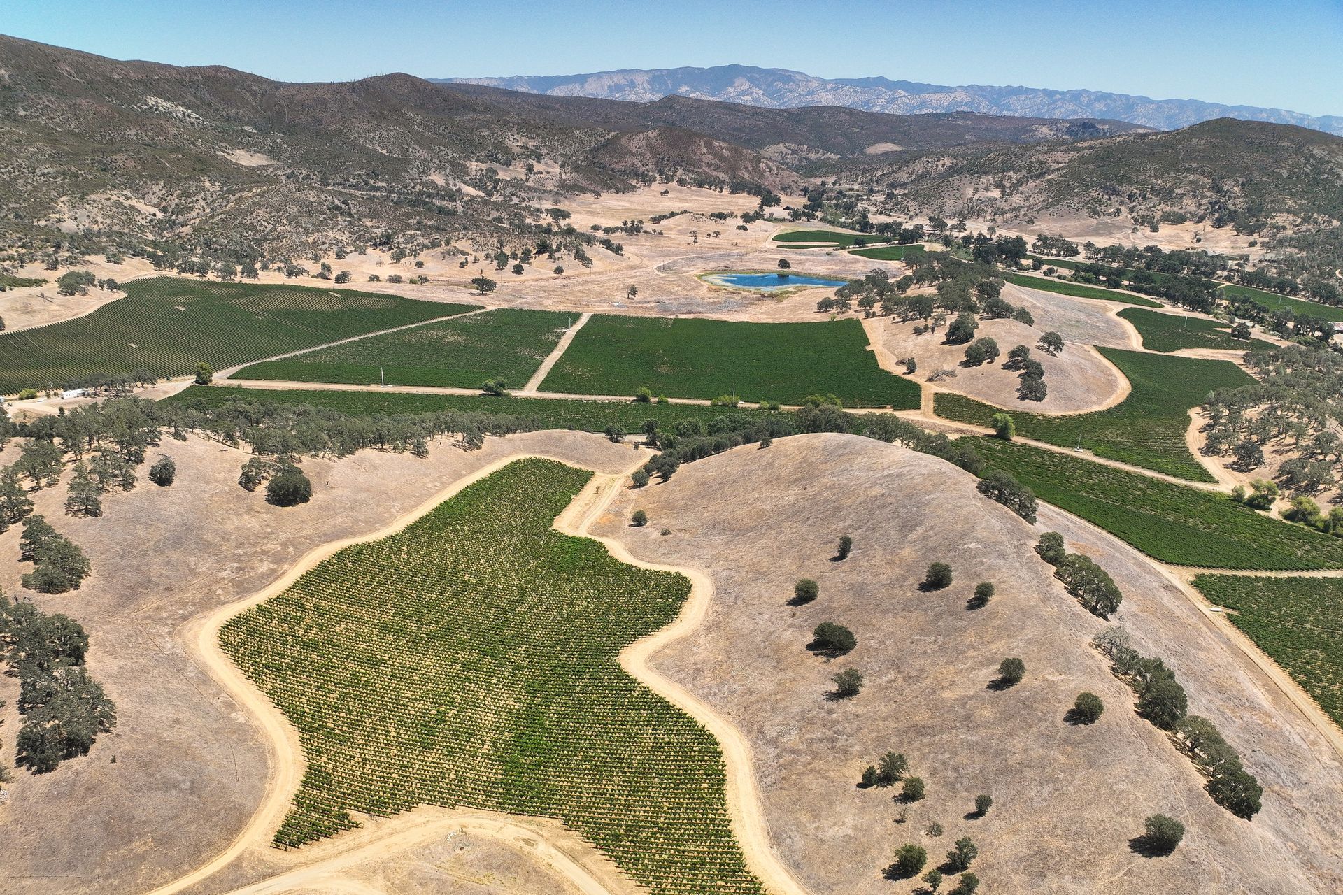 Professional Drone Surveying and UAV Mapping