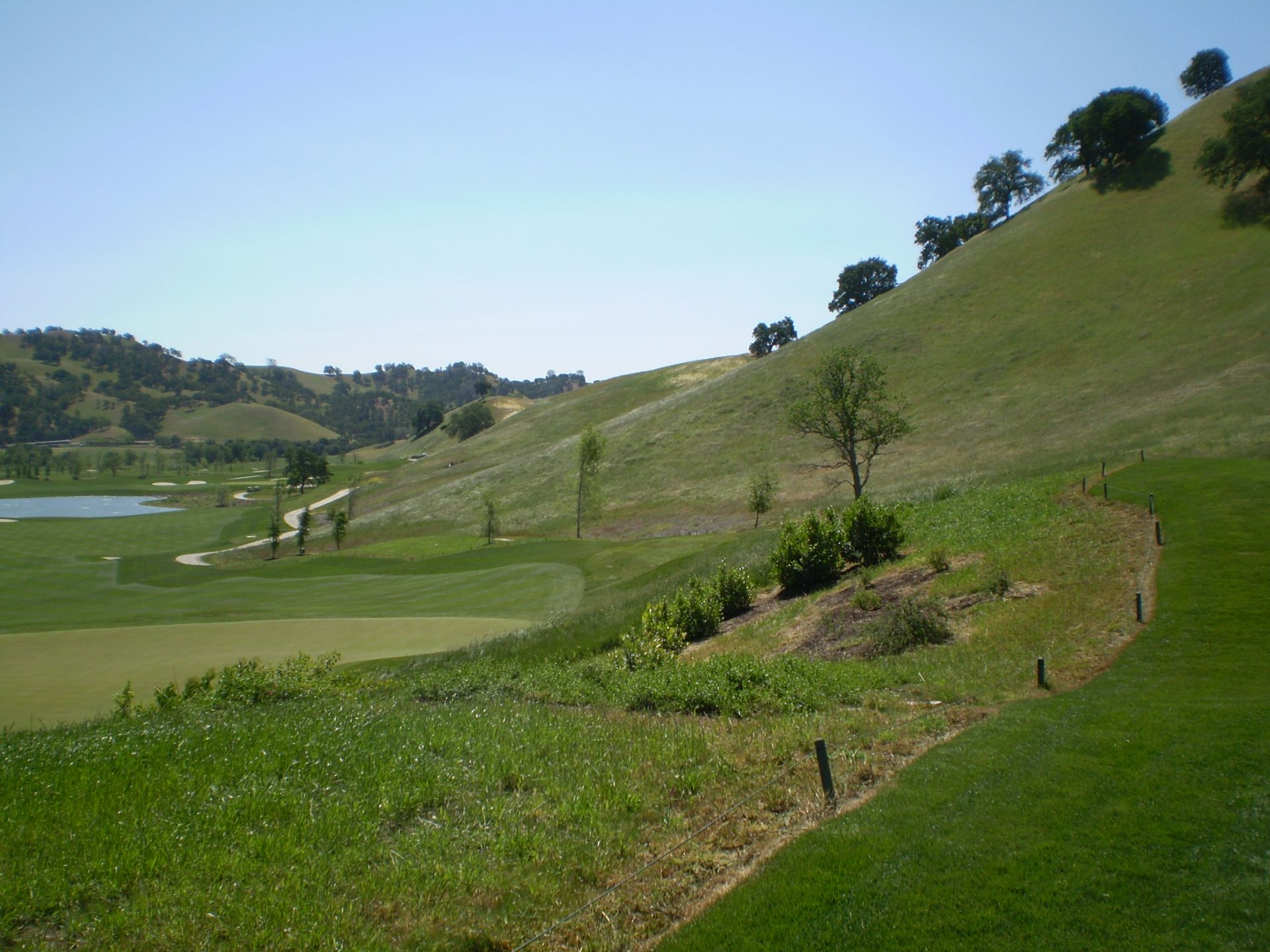 a golf course with a lot of grass and trees
