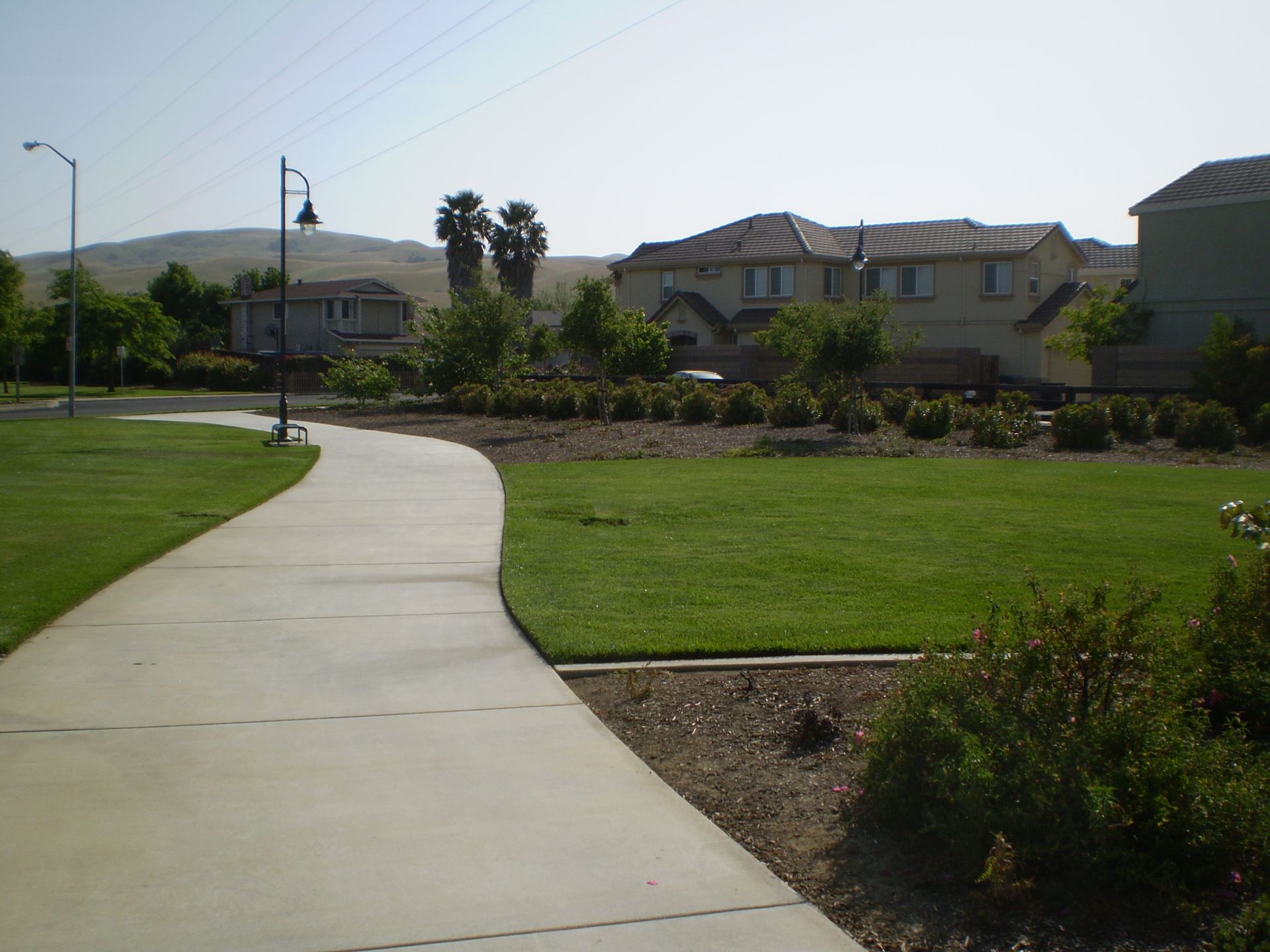 Significant trees, landscaping, and vegetation documented by location and size where required.