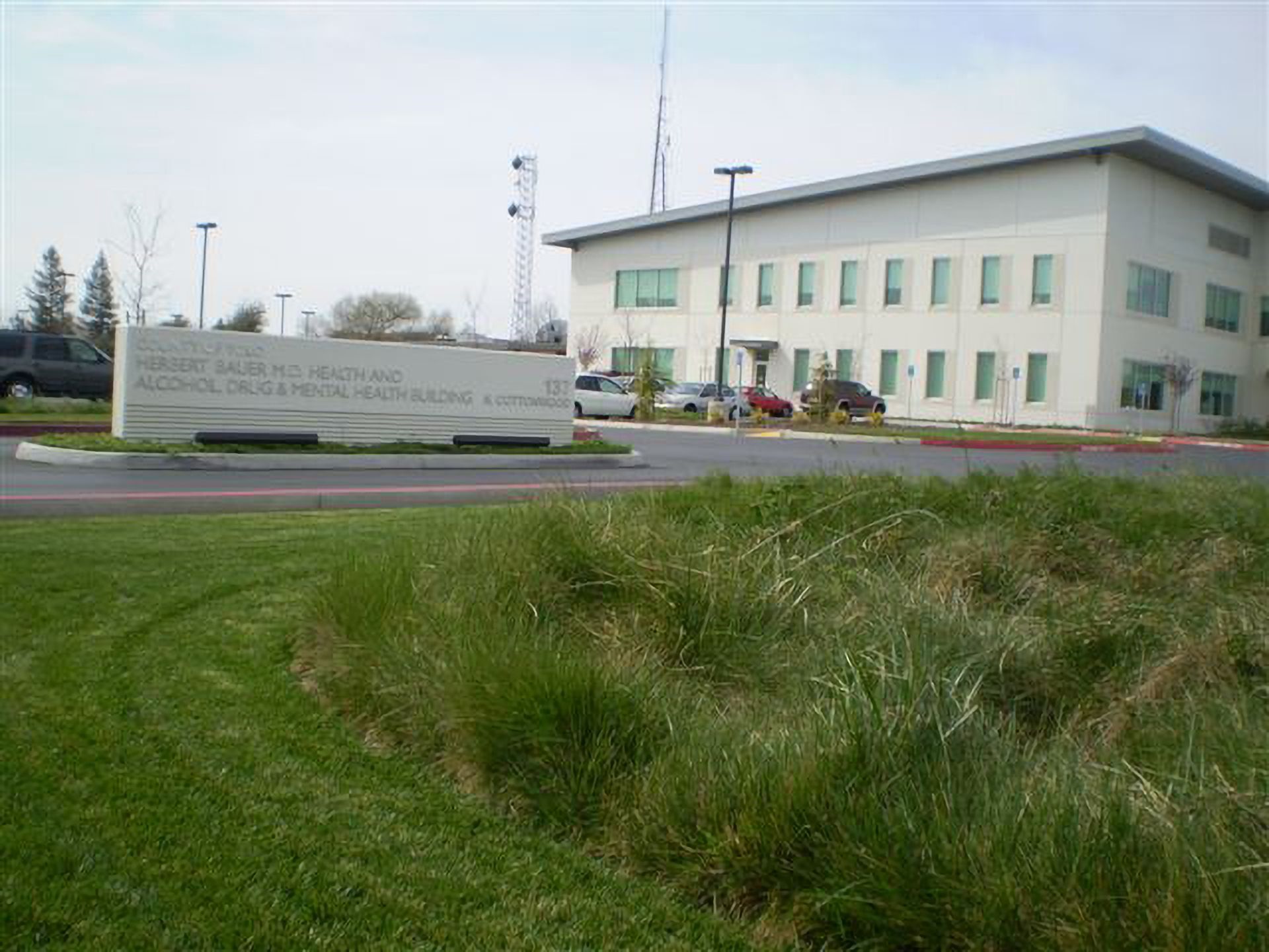 Yolo Health Services
