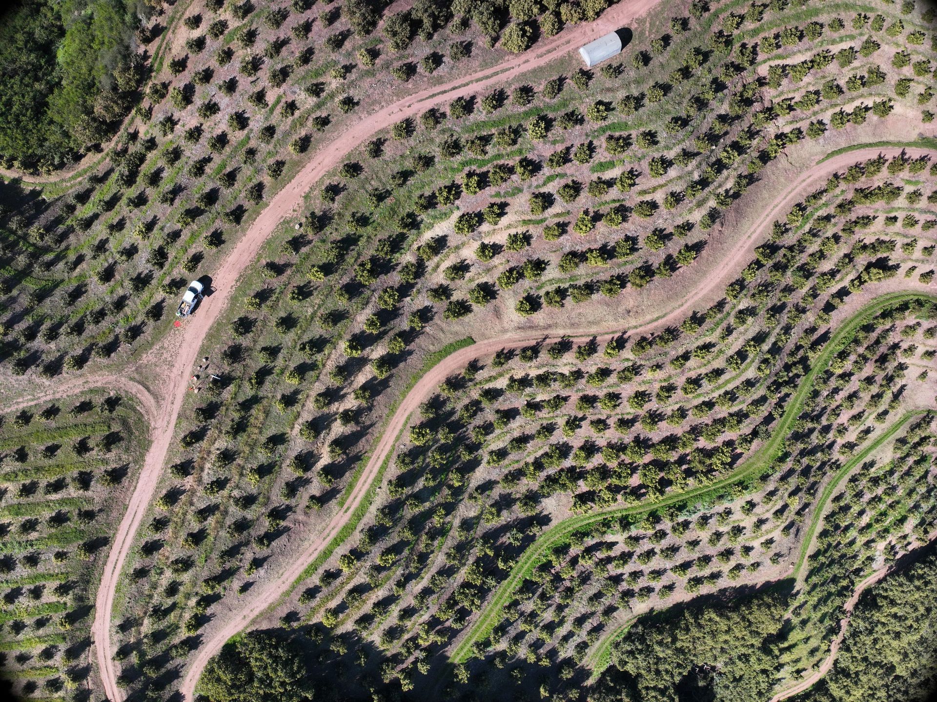 Laugenour and Meikle serves Northern and Central California