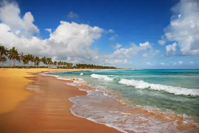A tropical beach on a clear day