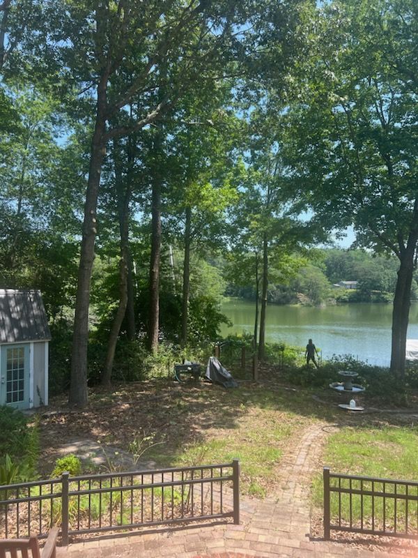 Backyard with tall trees, a lake beyond, and a metal gate in the foreground