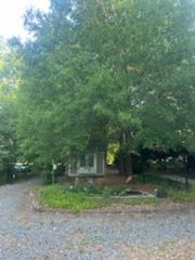 Large leafy tree in a gravel driveway beside a small house on a rainy day