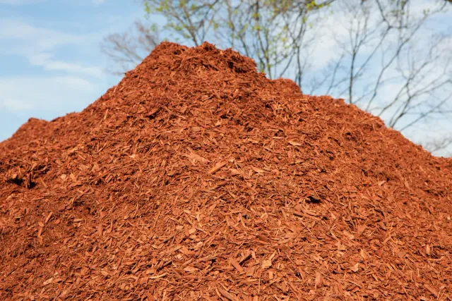 A pile of red mulch with trees in the background.