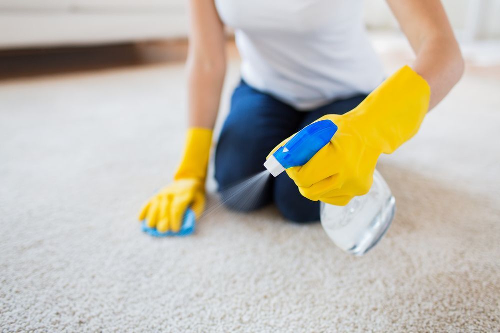 A woman wearing yellow gloves is cleaning a carpet with a spray bottle — TCM Carpet & Cleaning In Koongal, QLD