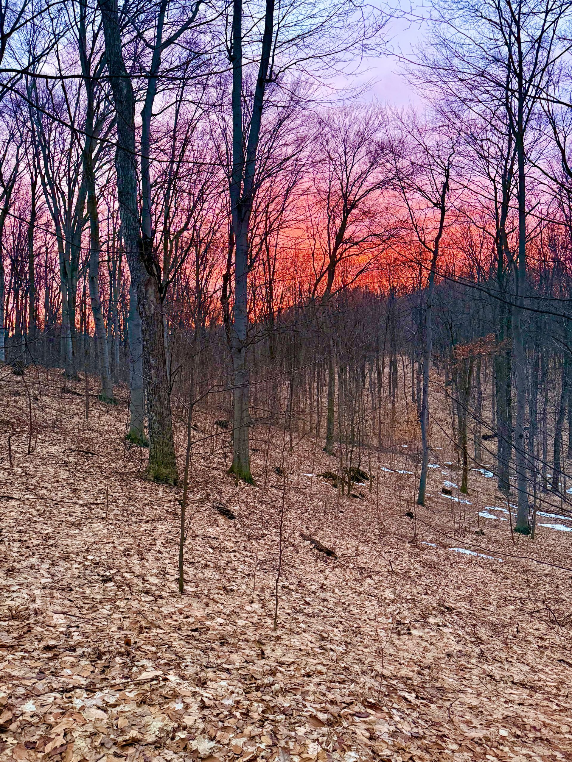 Sunset at Ridges.