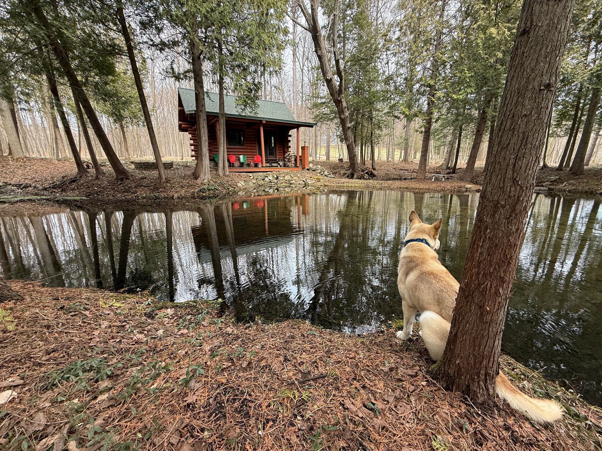 Writer's Cabin @ Ridges - Hike & Ski Tours