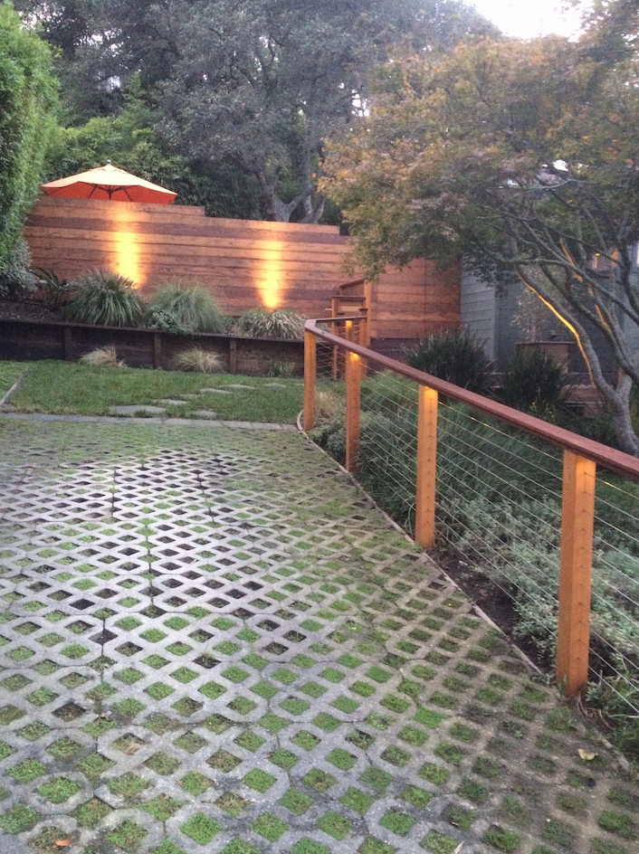 There are a lot of lights in the garden at night.