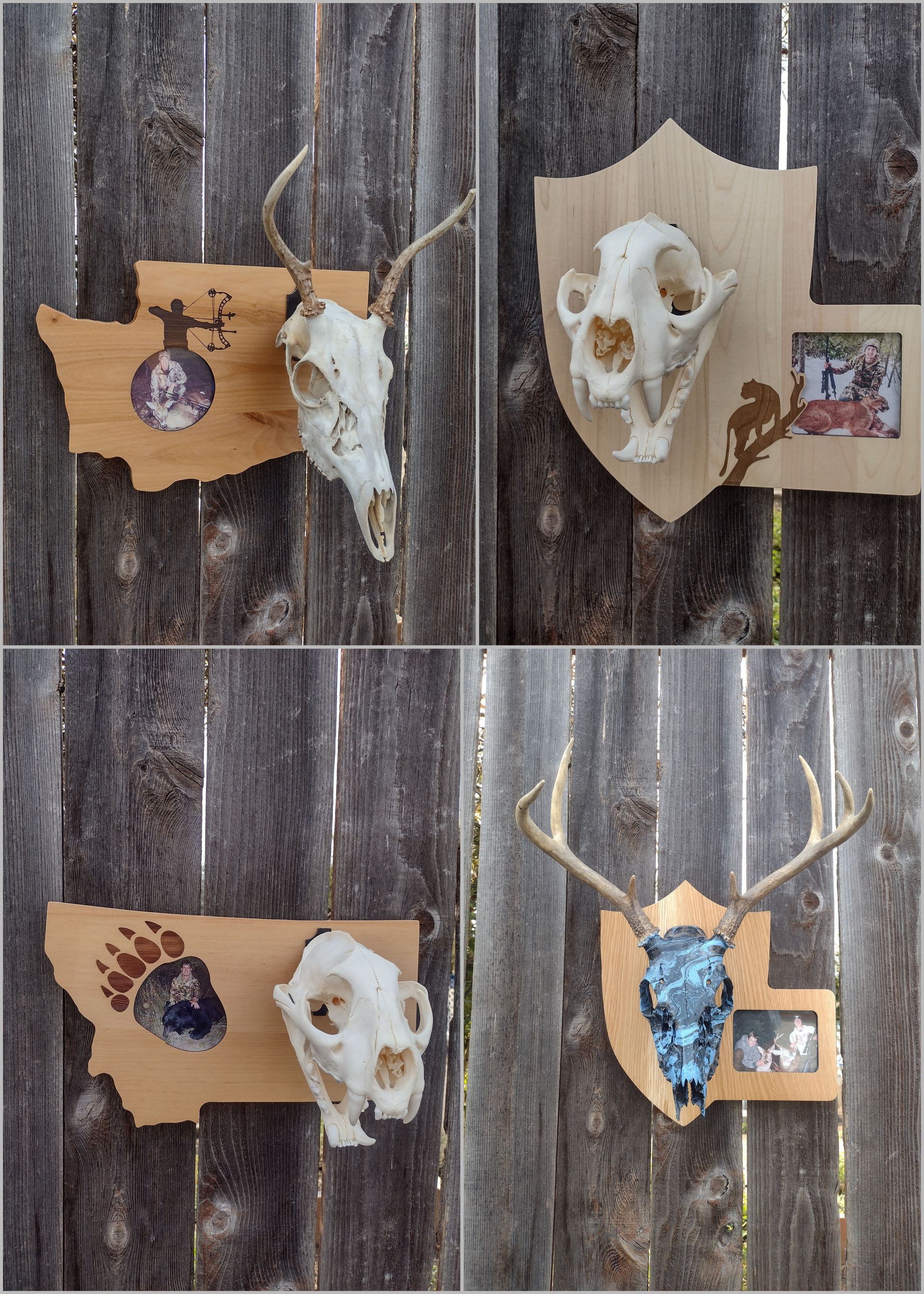 Four different skulls are hanging on a wooden fence