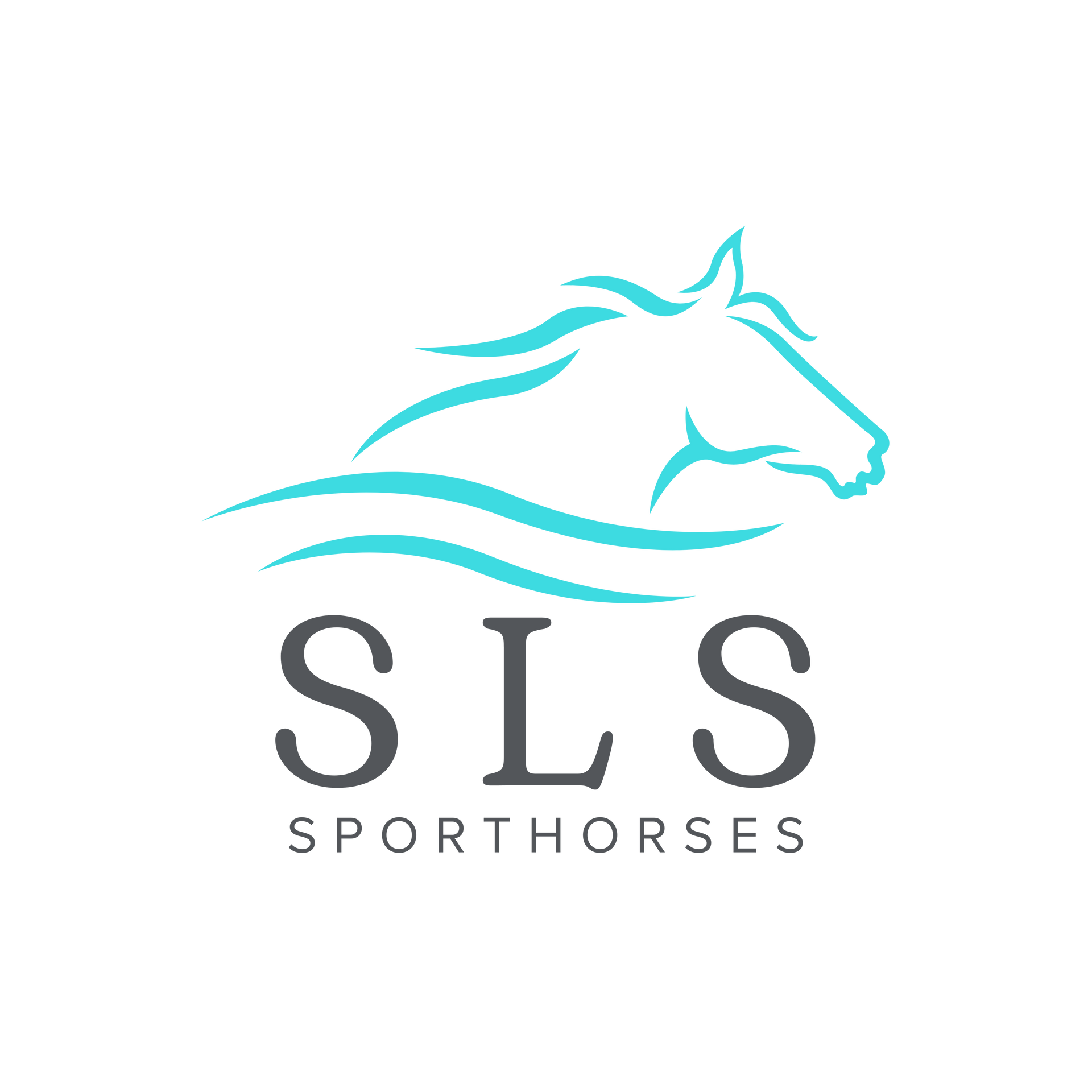 Turquoise horse logo above “SLS SPORTHORSES” text on a white background
