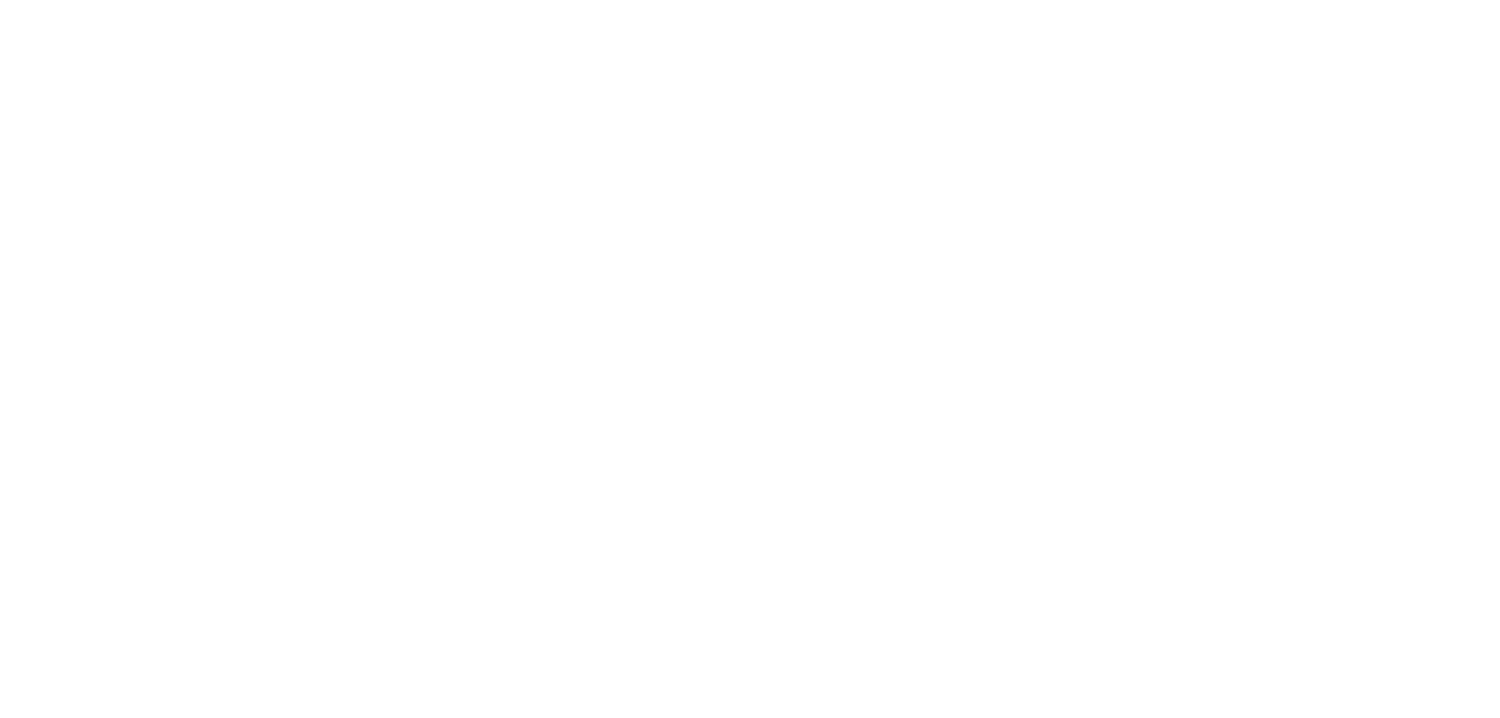 Blank white screen with a thin black horizontal line near the top and a blue line at the bottom.