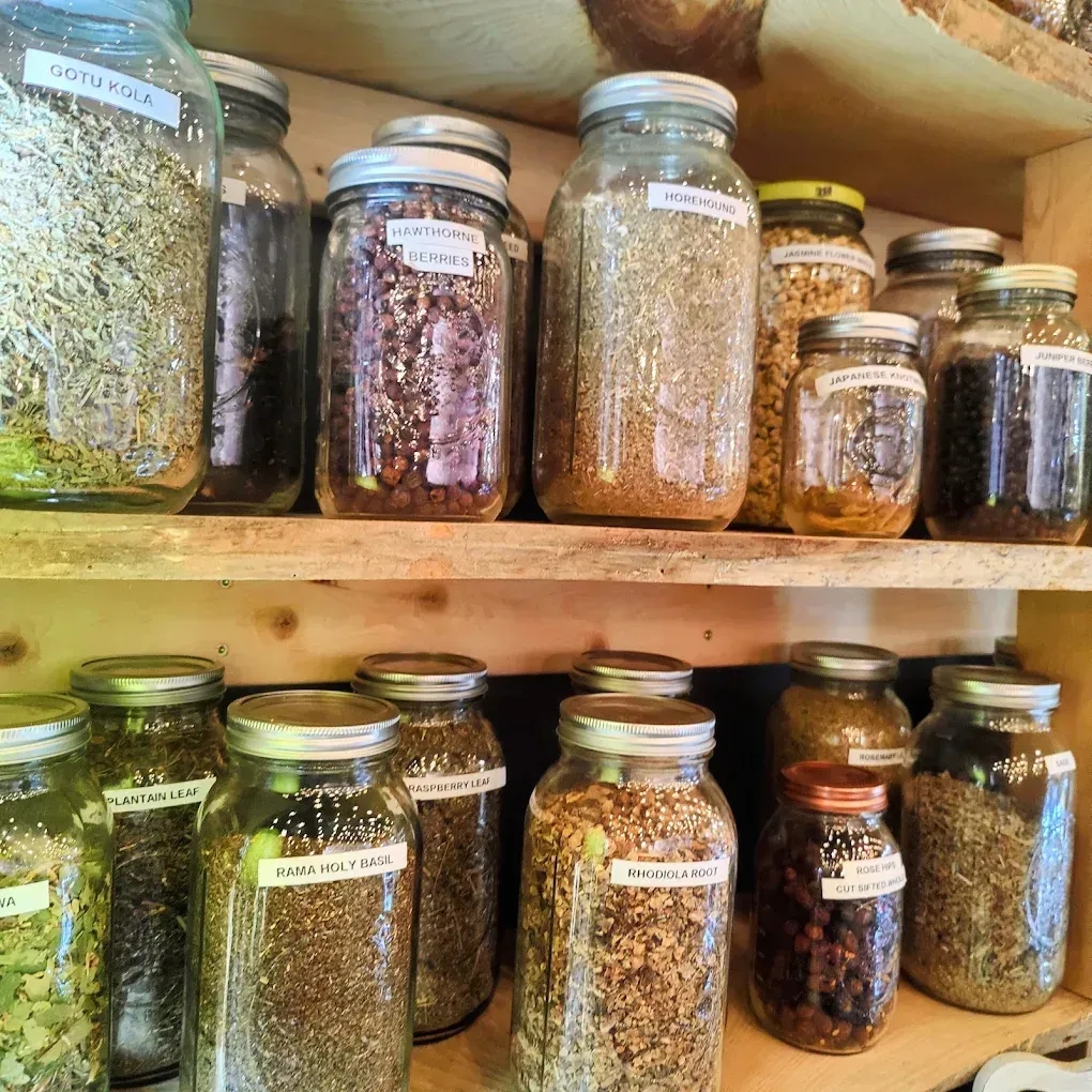 Shelves lined with glass jars of dried herbs and spices in a pantry.