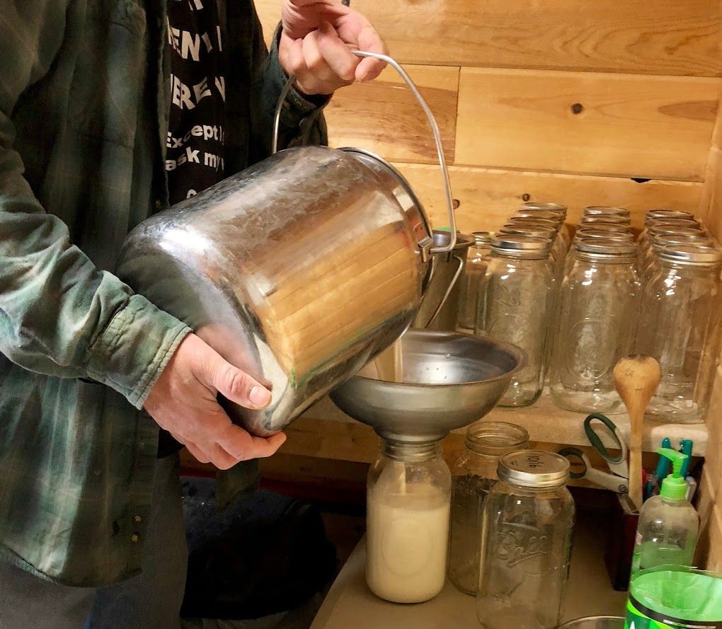 Person pouring liquid from a metal bucket into a funnel, with jars and shelving in the background.