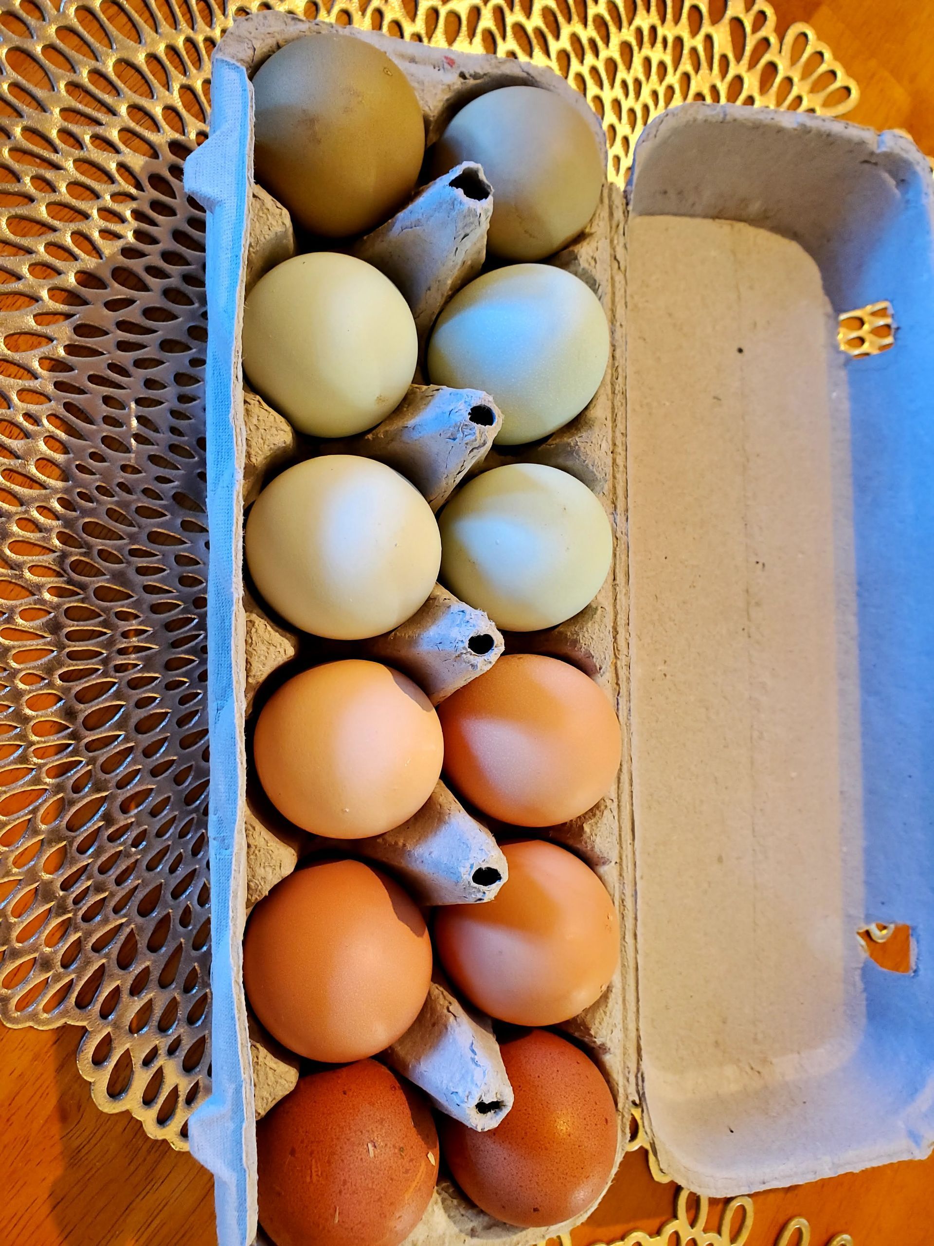 Carton of twelve eggs, varying shades of brown, tan, and green.