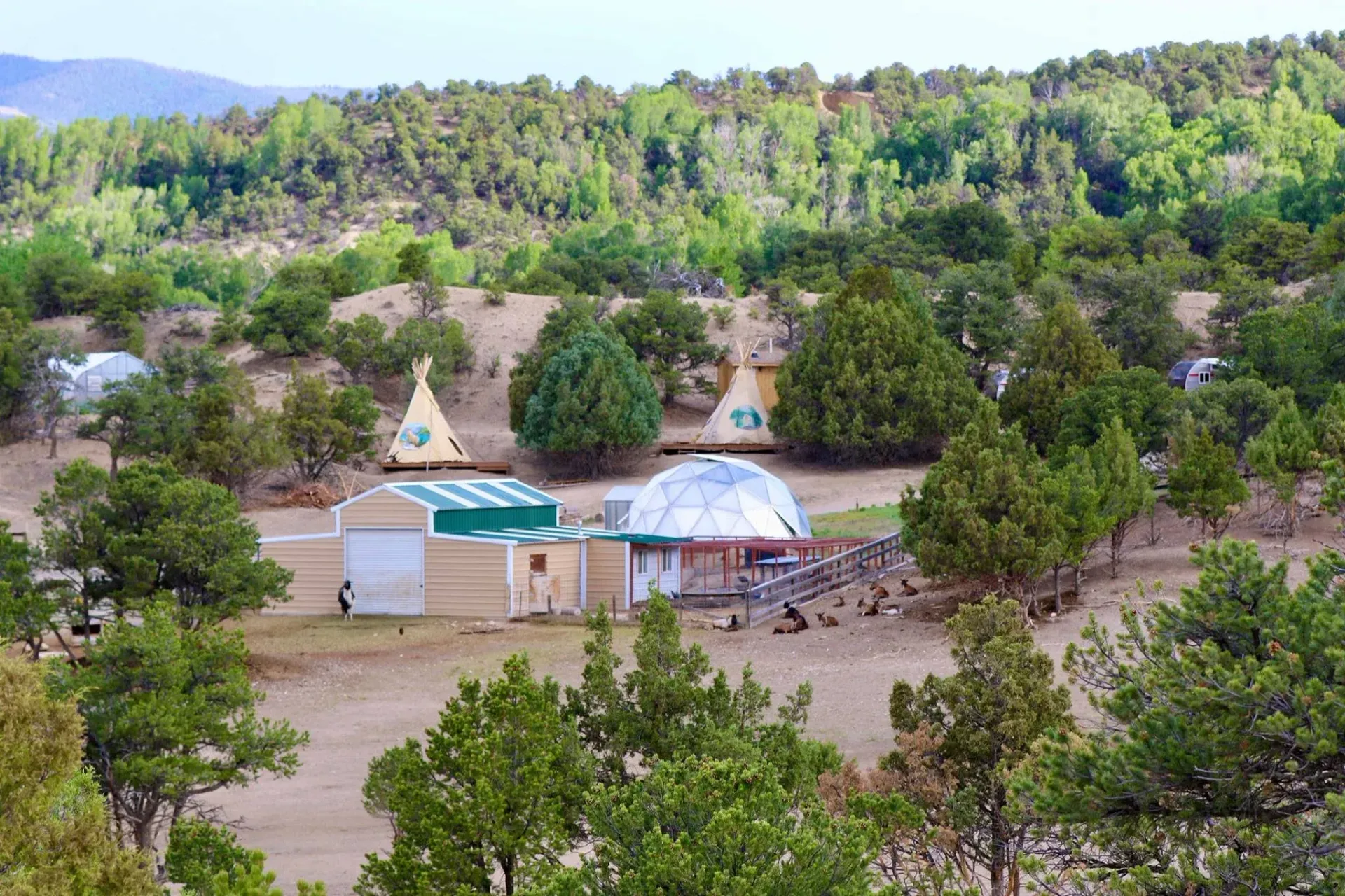 A rural scene with several teepees, a yurt, and other buildings surrounded by trees and shrubs.