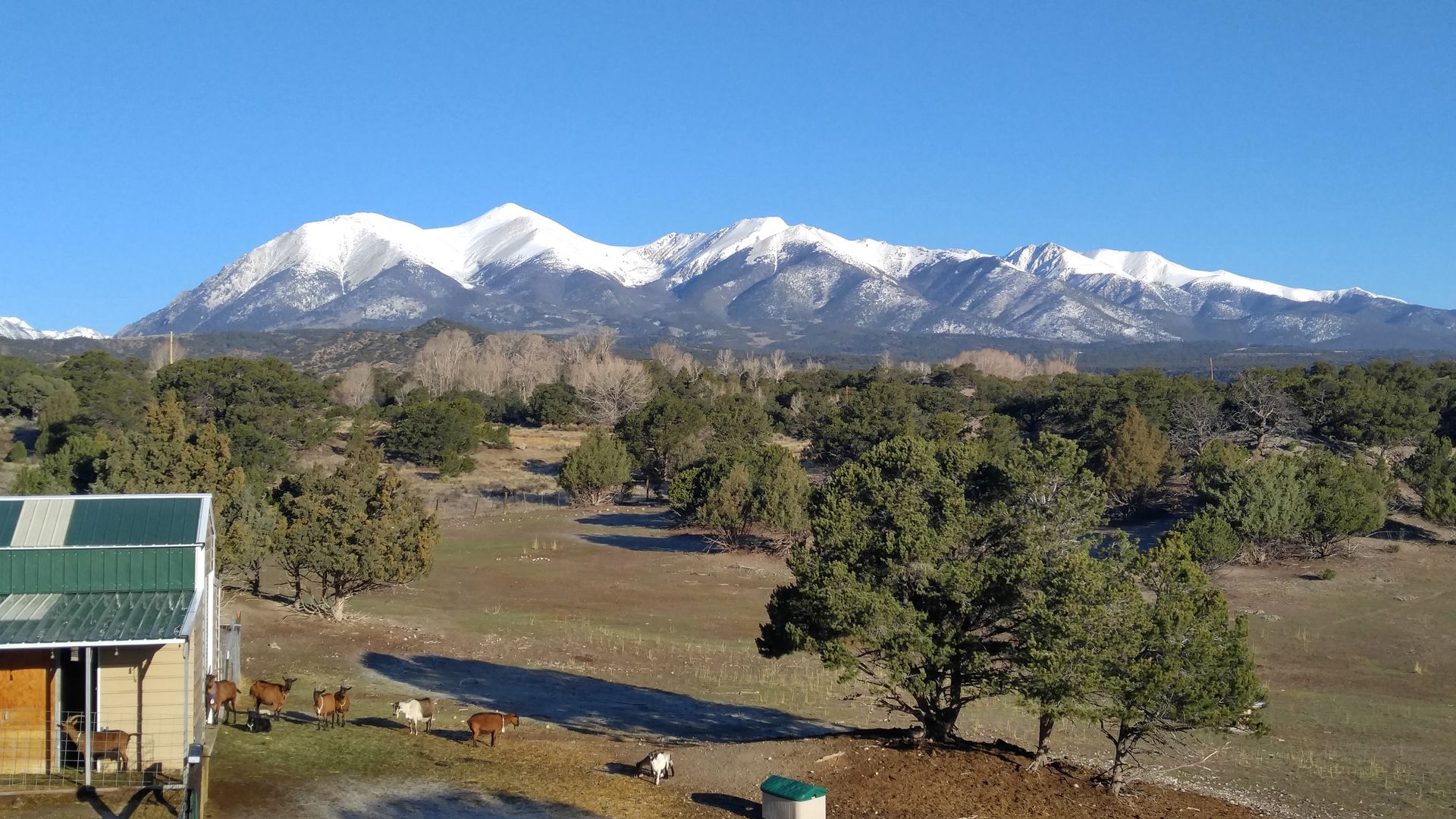 Snow-capped mountains rise above a field with trees, animals, and a building under a clear blue sky.