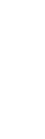 Blank white image.
