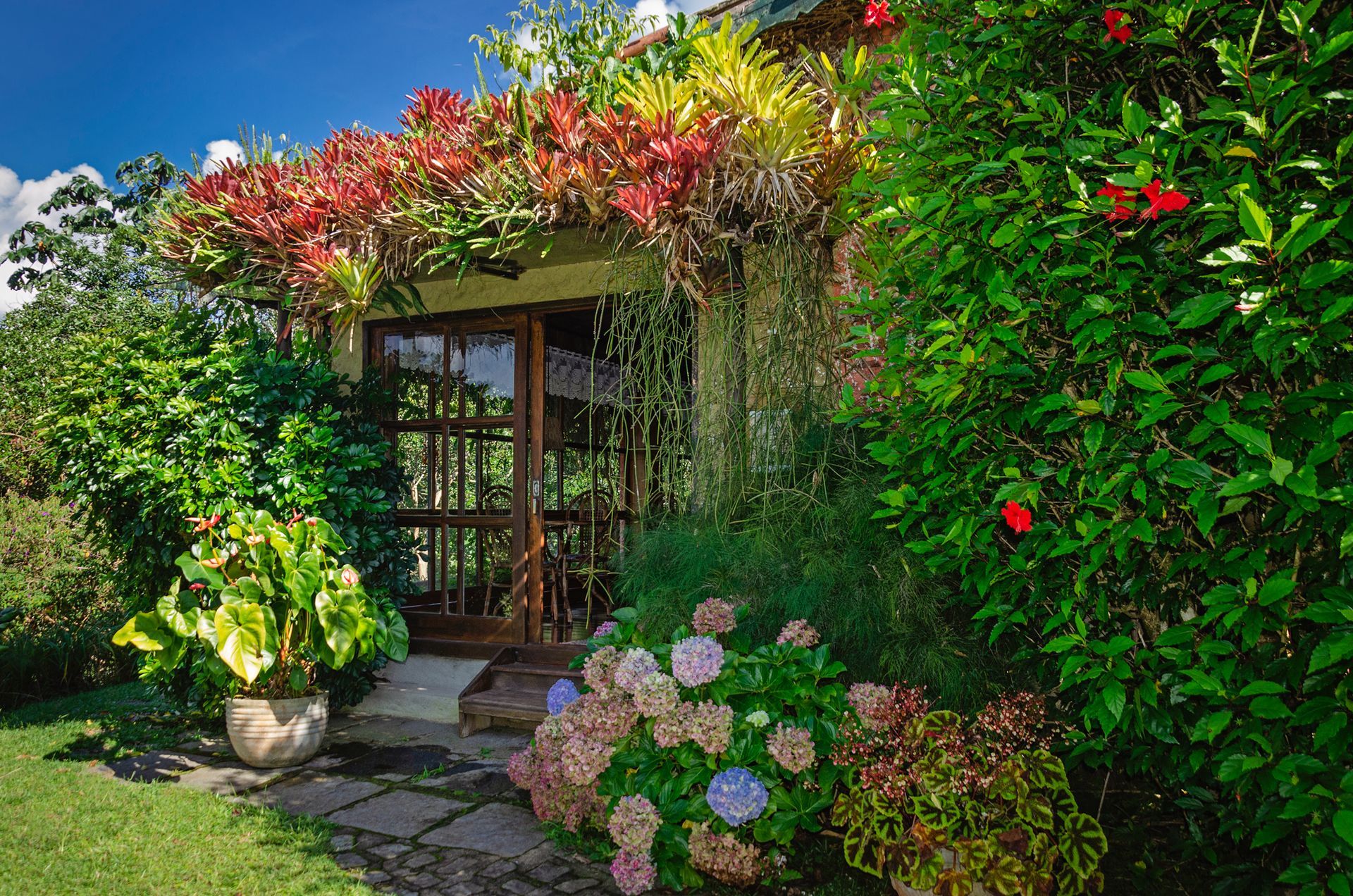 Uma casa cercada por muitas plantas e flores em um jardim.