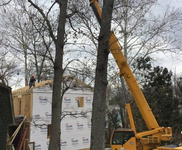 capezio_Severna Park Project-crane