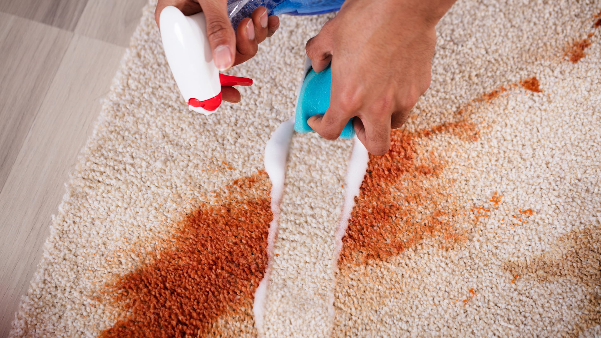 A person is cleaning a carpet with a sponge and a spray bottle.