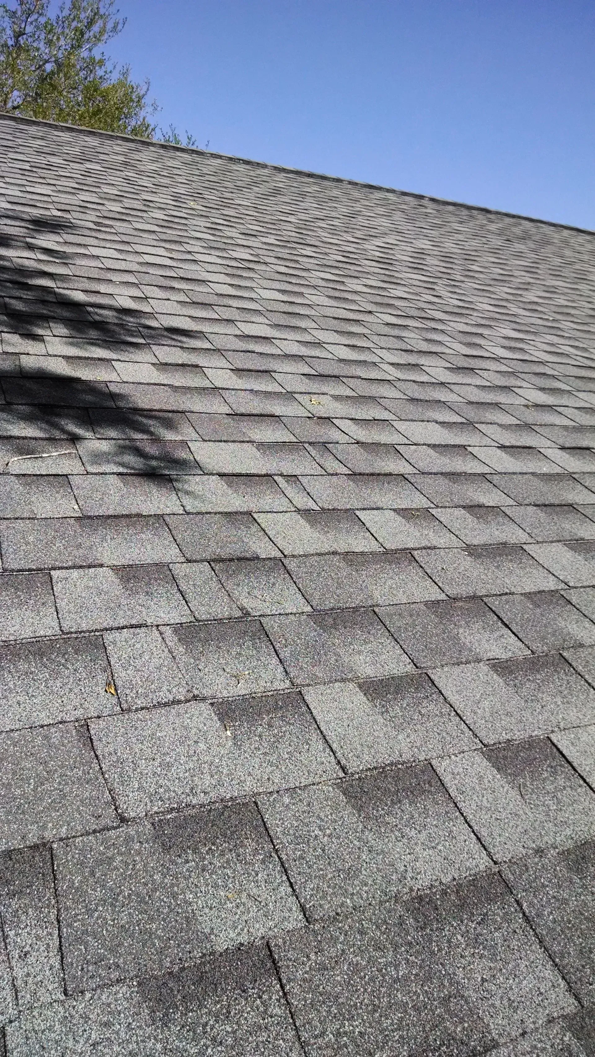 Gray architectural asphalt shingles cover a sloped roof under a clear blue sky, with tree shadows cast on the left.
