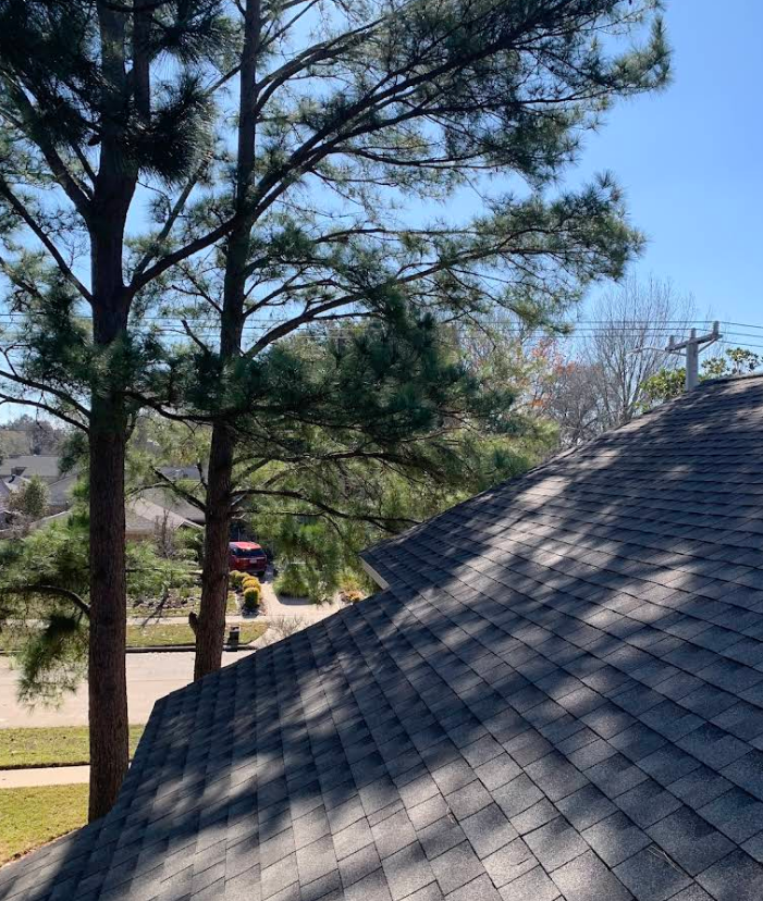 A high-angle view of a gray asphalt shingle roof, with tall pine trees on the left and a sunny blue sky above.