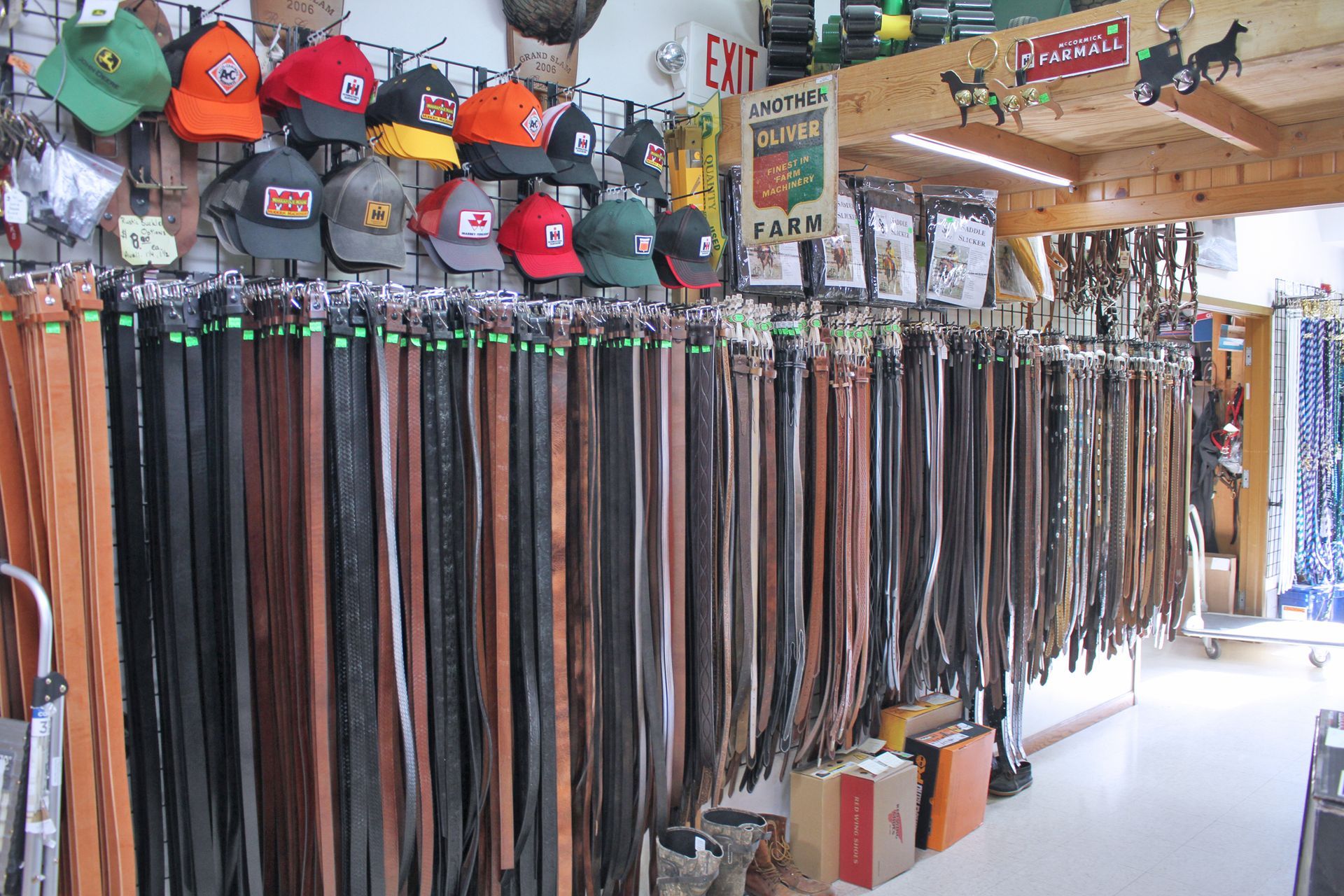 Hats and belts displayed in a store. Rows of leather belts hang beneath a shelf of colorful caps.