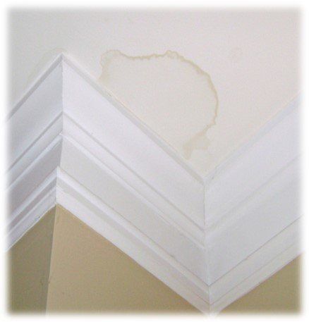 Ceiling Water Leak Mark — Parkland, FL — Water Damage Solutions Ceiling Water Leak Mark — Parkland, FL — Water Damage Solutions