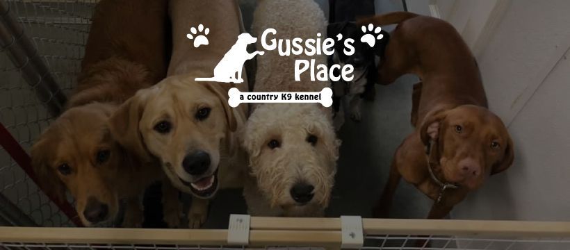 Gussie's Place