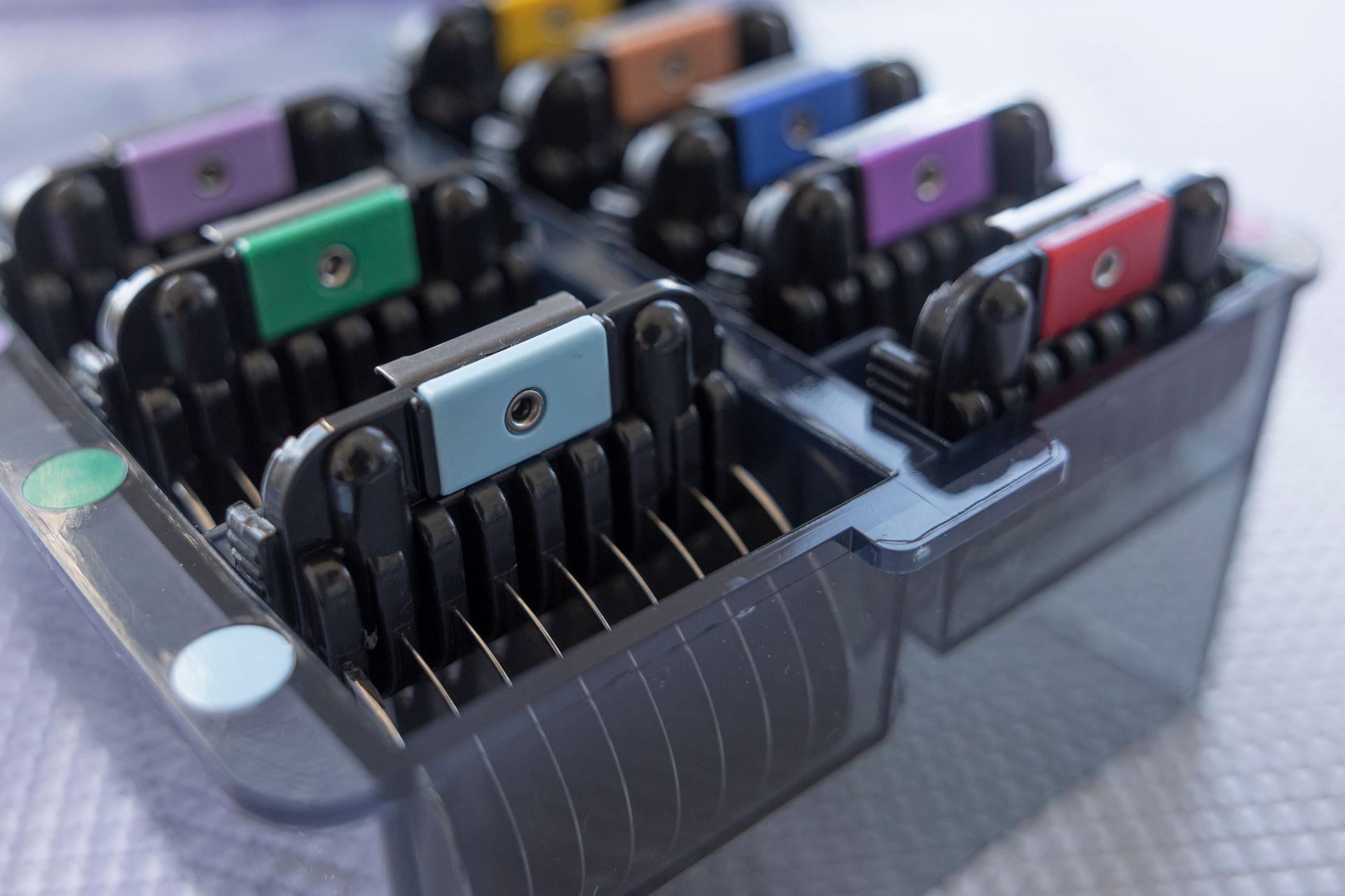 Sudzee Pups Dog Grooming in Hicksville