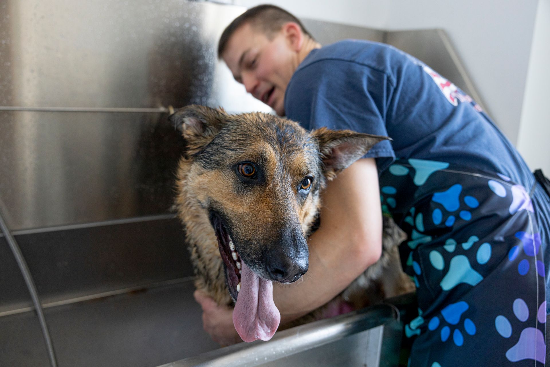 German Shepard Enjoying Her Bath
