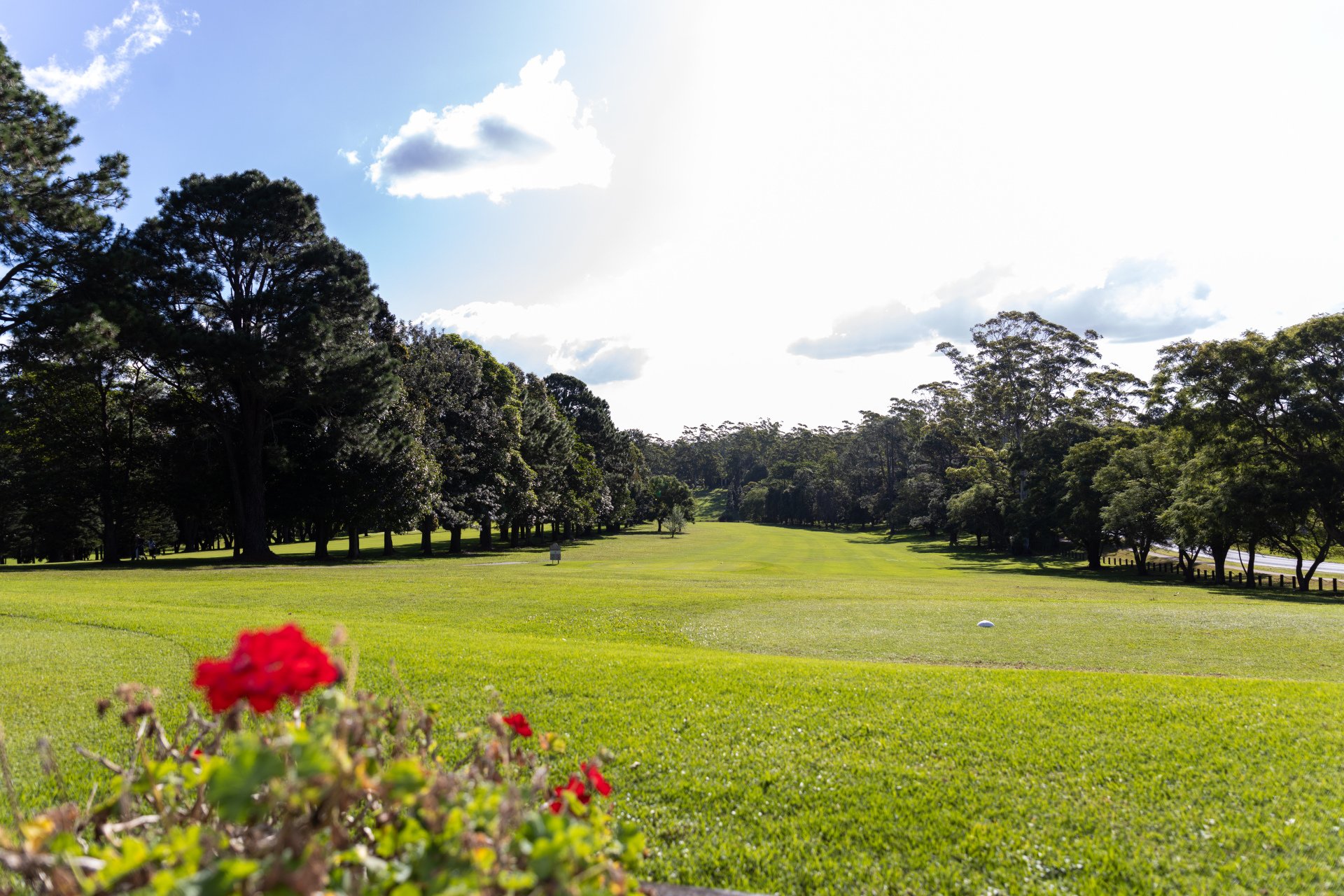 Info about us, fee's & more Tamborine Mountain Golf Club