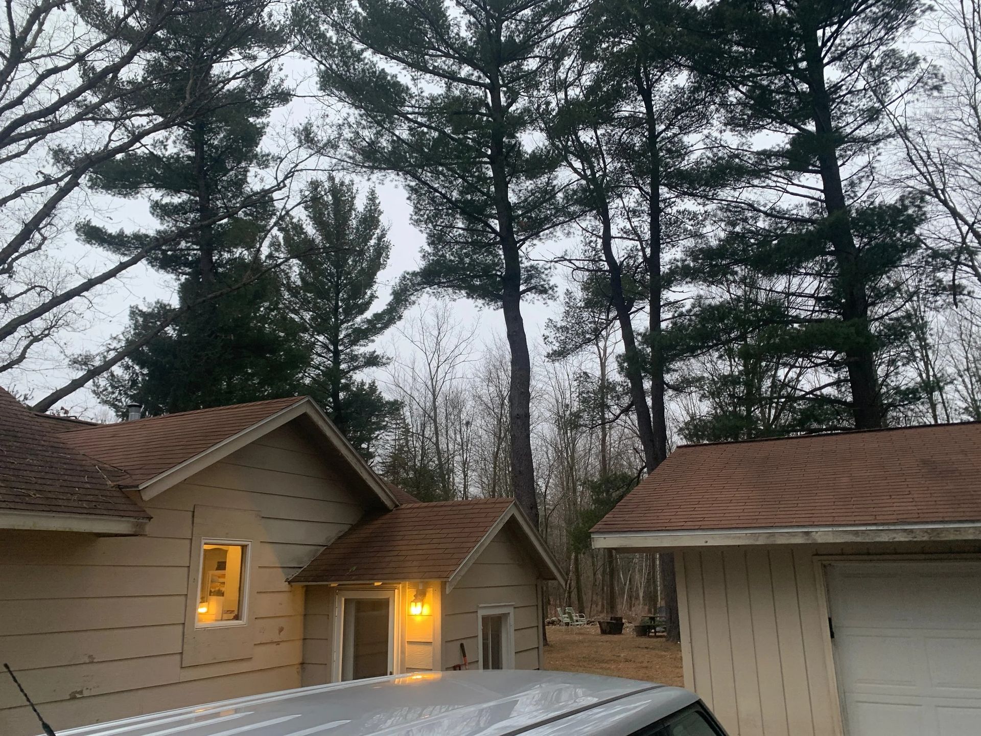 Three beige houses with lit windows under tall pine trees at dusk