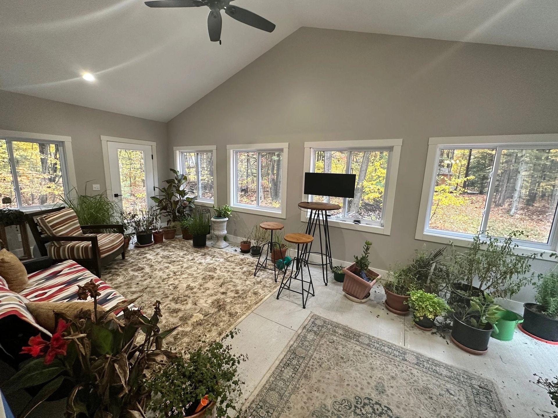 Bright sunroom with large windows, gray walls, potted plants, rugs, and a chair beside a small table