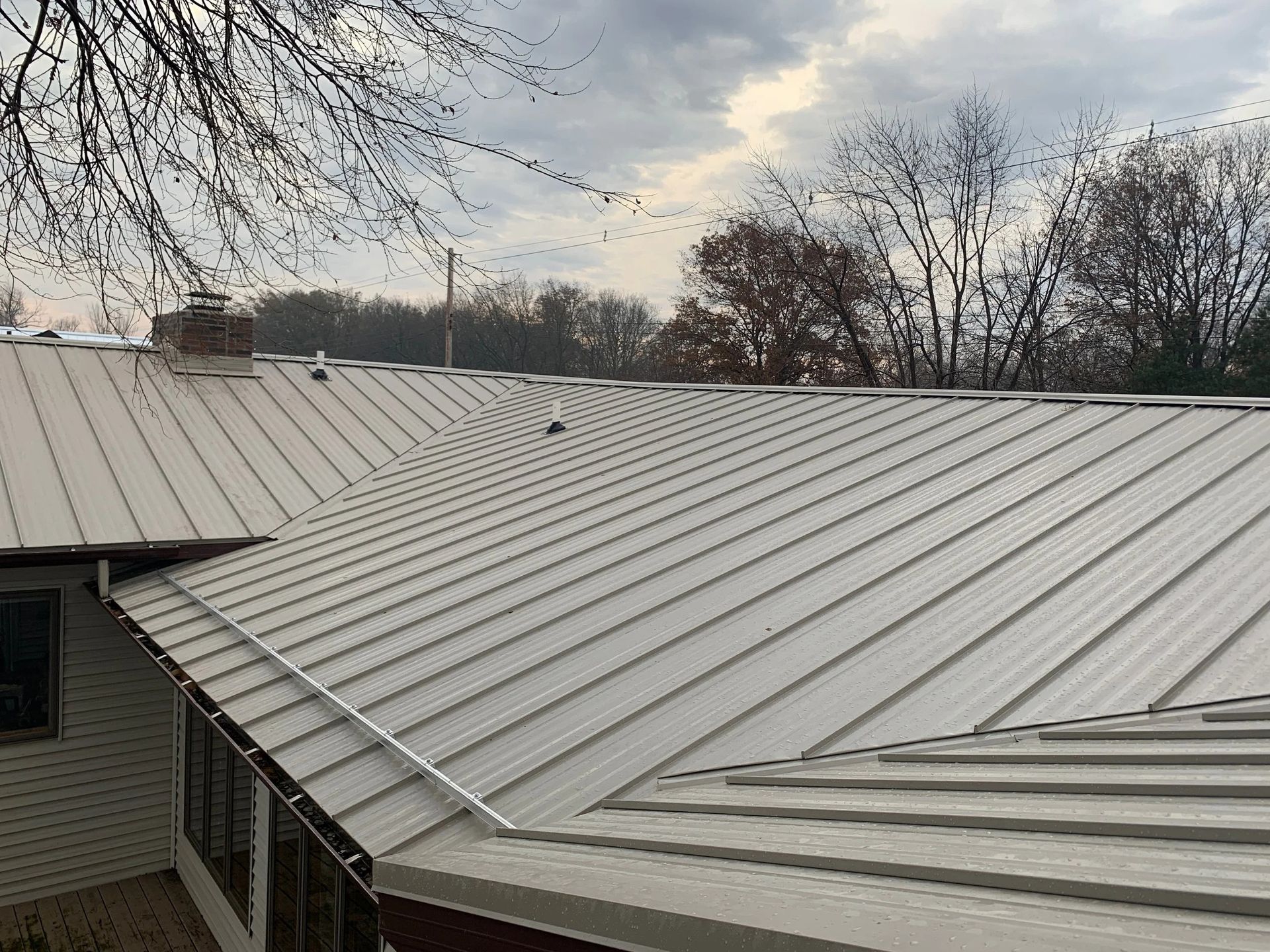 White metal roof with standing seams on a house under bare trees and an overcast sky