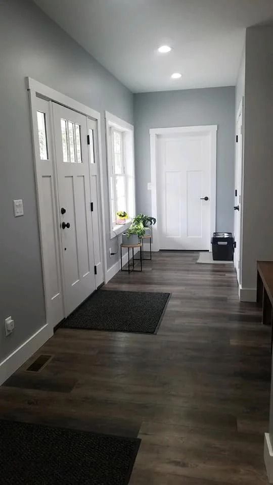 Modern hallway with gray walls, wood floor, white doors, and a small table with flowers.