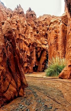 A canyon filled with lots of rocks and grass.
