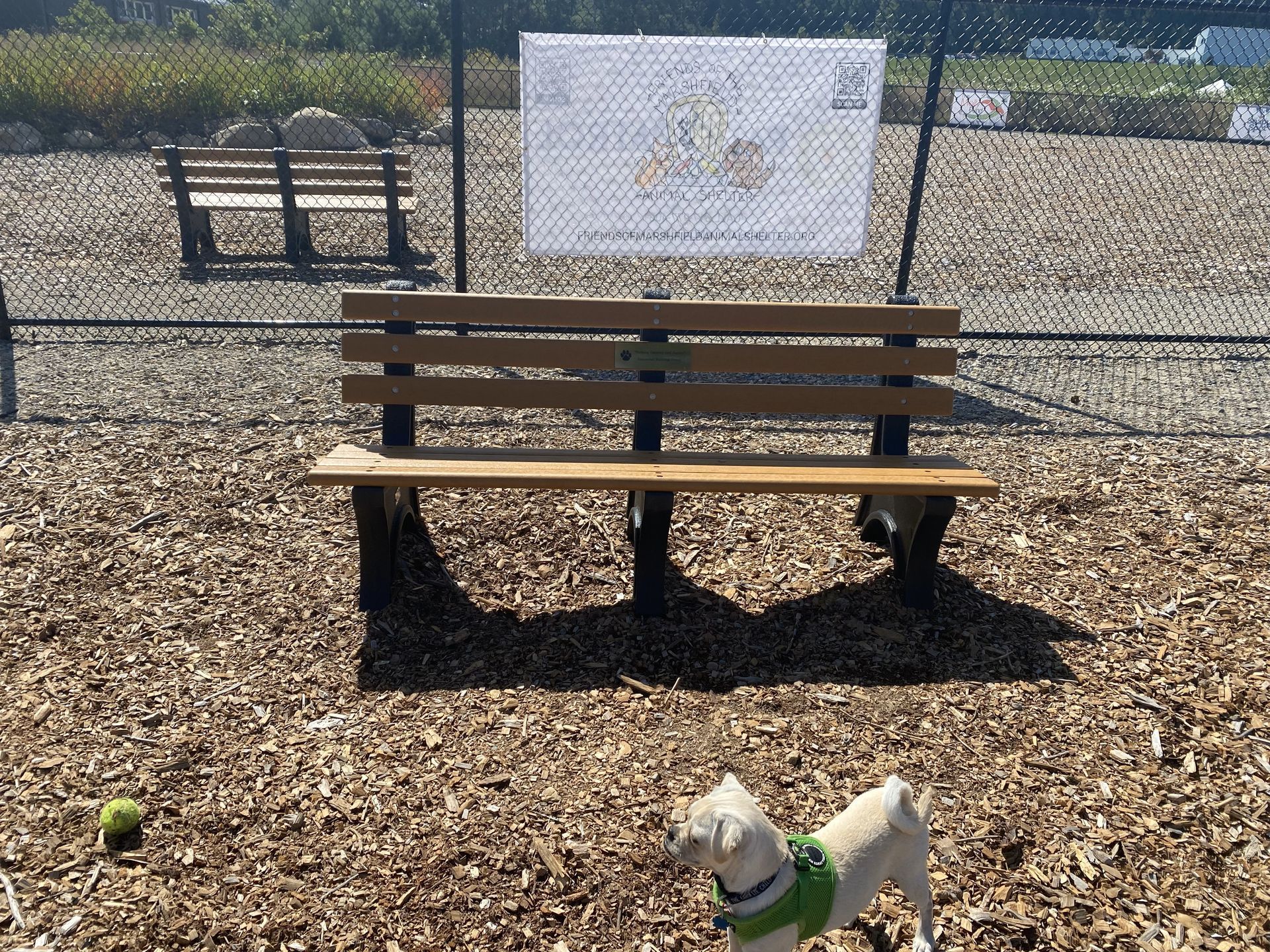 Marshfield Dog Park