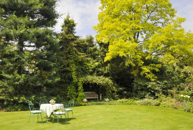 Landscape Design Green Trees - Near West,IL - M & M Landscaping Landscape Design Green Trees - Near West,IL - M & M Landscaping