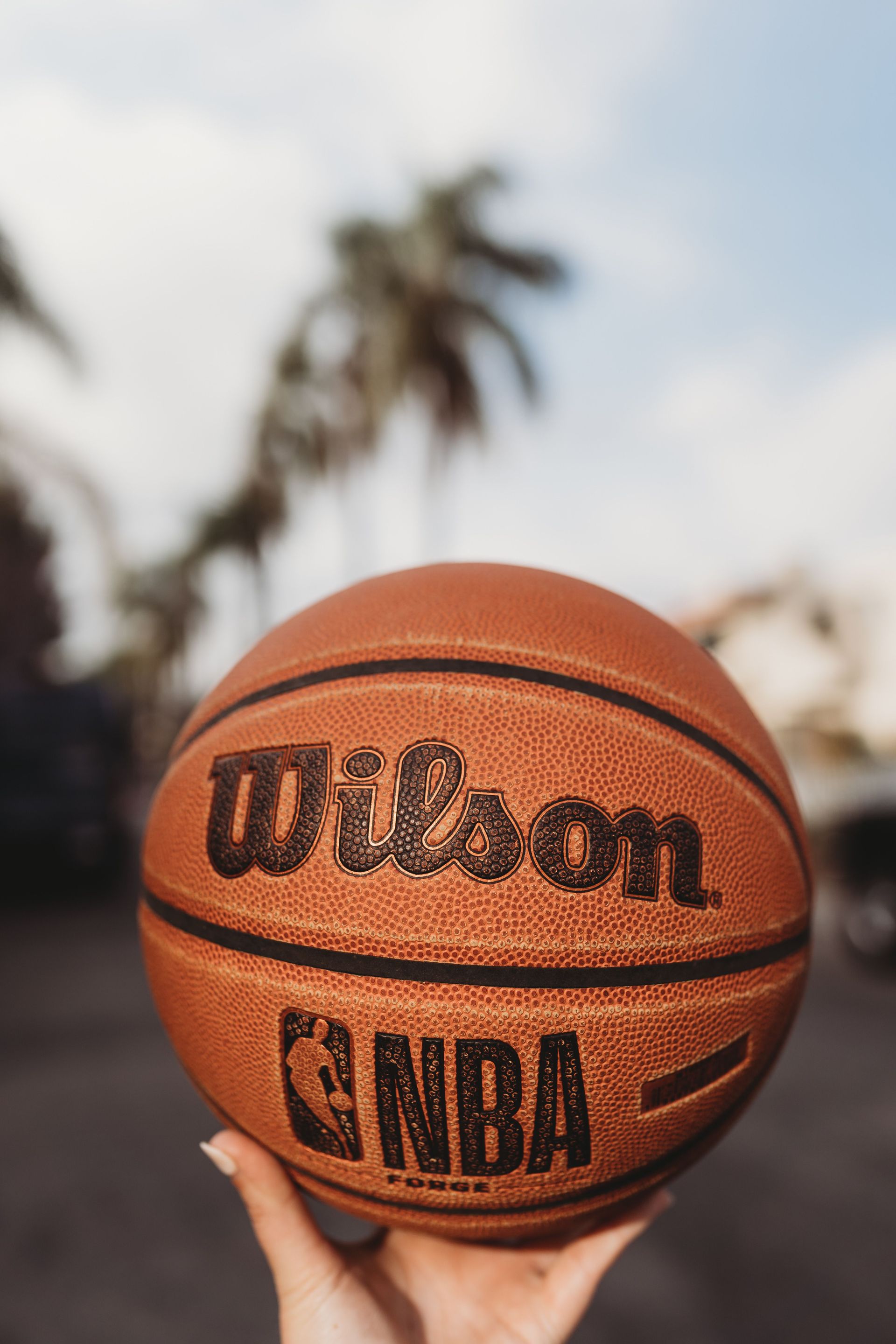 Wilson Basketball Placeholder Image