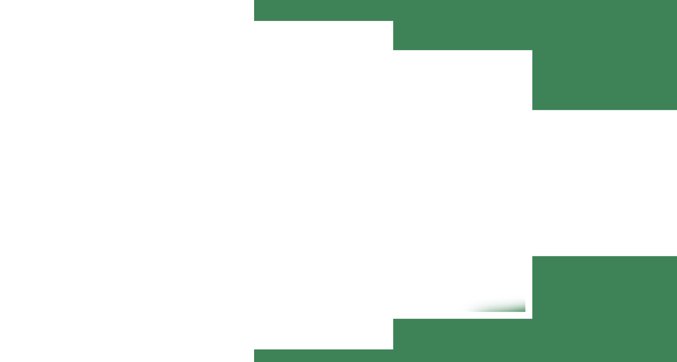 White Divider