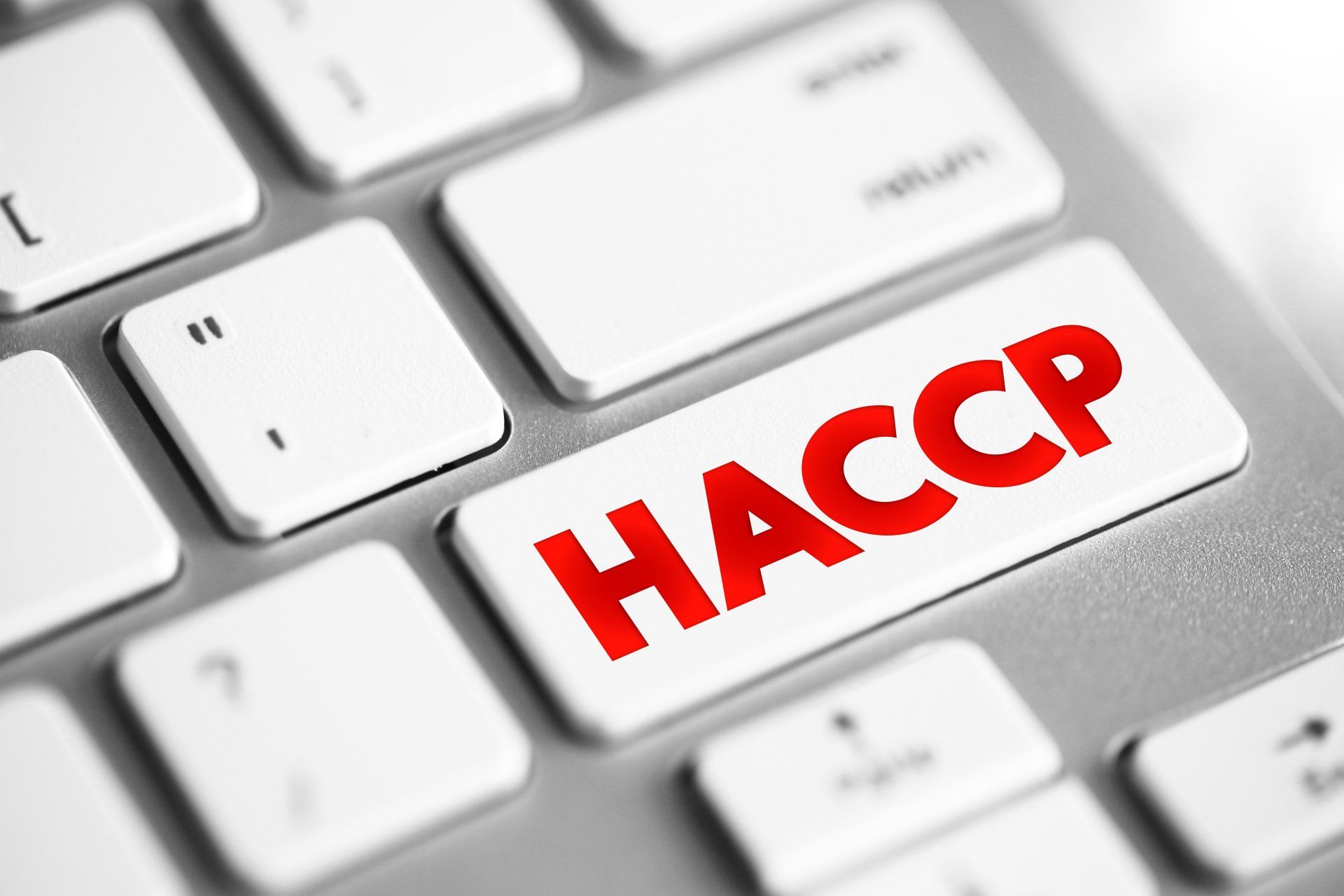 servizio haccp